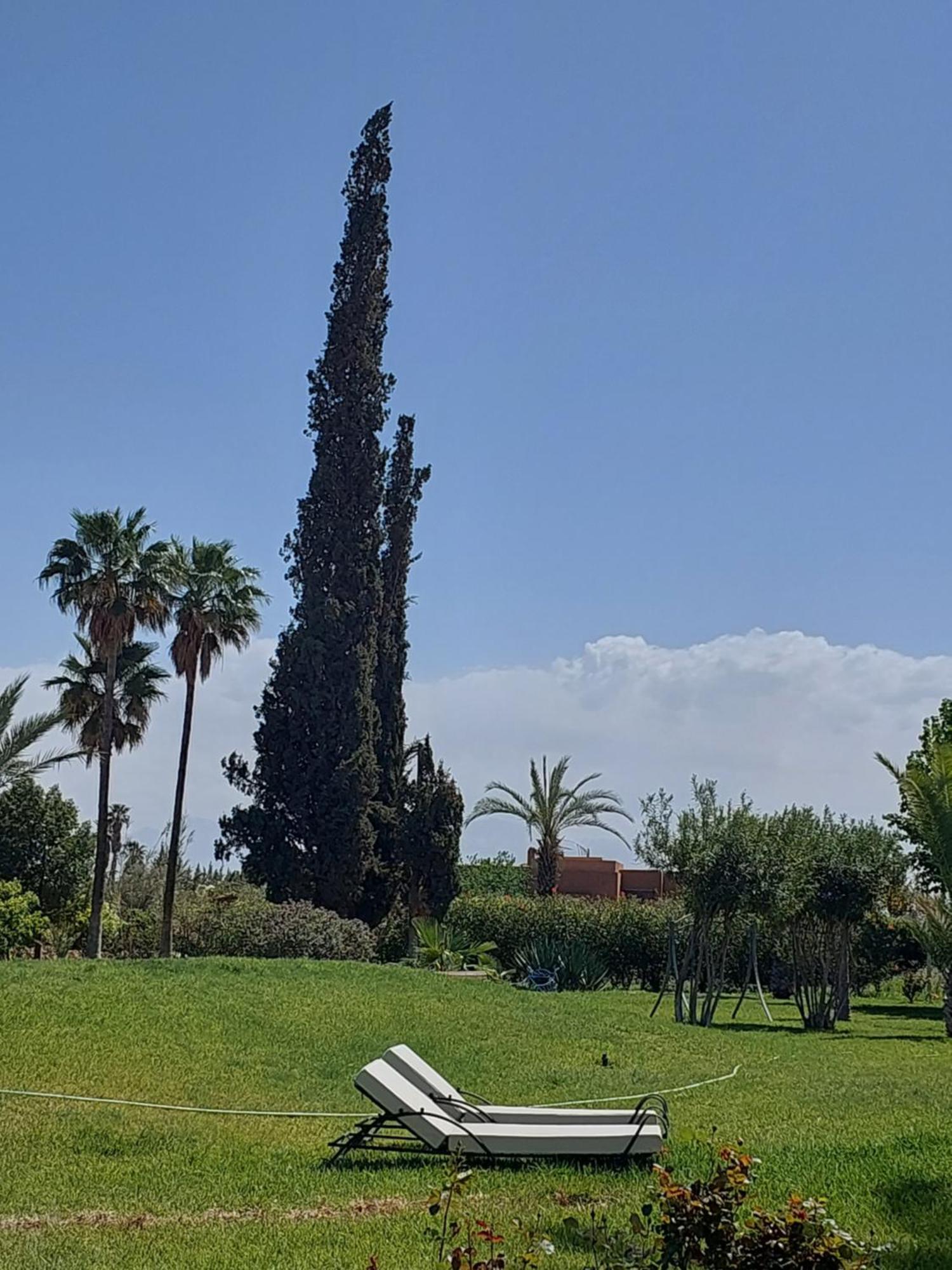 El Harkat Palais Les Sources De L'Atlas & Spa المظهر الخارجي الصورة